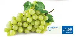 MD Discount Uva bianca senza semi offerta