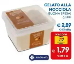 MD Discount Gelato alla nocciola buona spesa! offerta