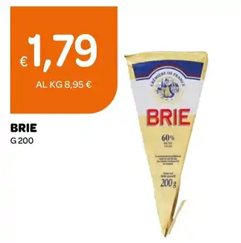 Ekom Brie offerta