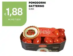 Ekom Pomodorini Datterino offerta