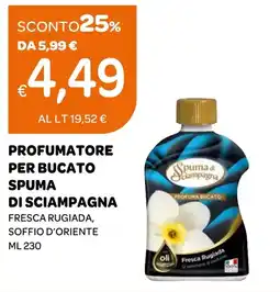 Ekom Profumatore per bucato Spuma di Sciampagna offerta