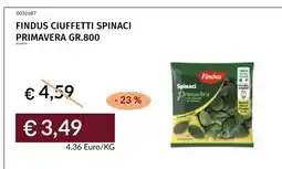 Prezzemolo e Vitale Findus Ciuffetti Spinaci Primavera offerta