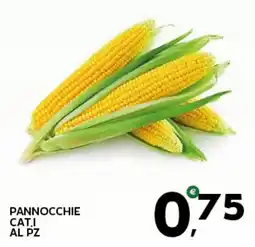 Extra Supermercati PANNOCCHIE offerta