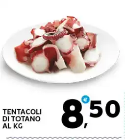 Extra Supermercati Tentacoli di totano offerta