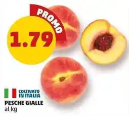 PENNY PESCHE GIALLE offerta