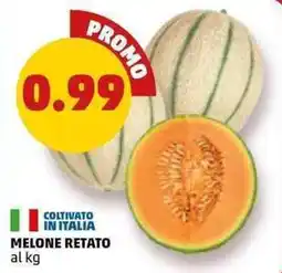 PENNY MELONE RETATO offerta