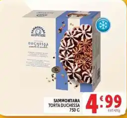 Deco Supermercati Sammontana Torta Duchessa offerta