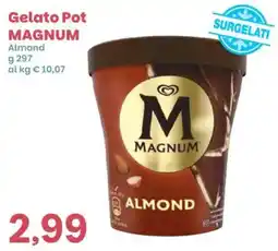 Prix Quality Gelato Pot MAGNUM Almond offerta
