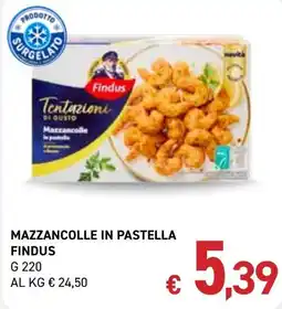 Coal City MAZZANCOLLE IN PASTELLA FINDUS offerta