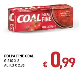 Coal City POLPA FINE COAL offerta