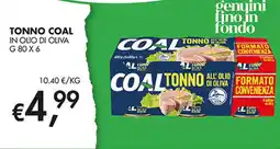 Coal City TONNO COAL offerta