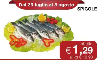 Coop Spigole offerta