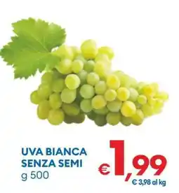 MD Discount Uva bianca senza semi offerta