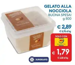 MD Discount GELATO ALLA NOCCIOLA offerta