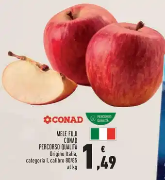 Conad Mele Fuji Conad Percorso Qualità 80/85 kg offerta