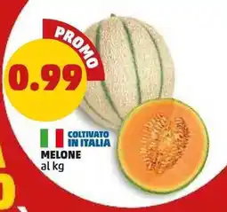 PENNY Melone offerta