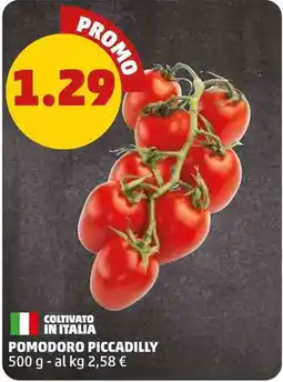 PENNY POMODORO PICCADILLY offerta