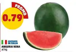 PENNY ANGURIA NERA offerta
