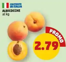 PENNY ALBICOCCHE offerta