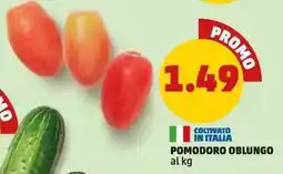 PENNY POMODORO OBLUNGO offerta