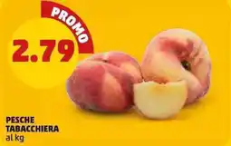 PENNY PESCHE TABACCHIERA offerta
