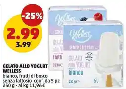 PENNY GELATO ALLO YOGURT WELLESS offerta