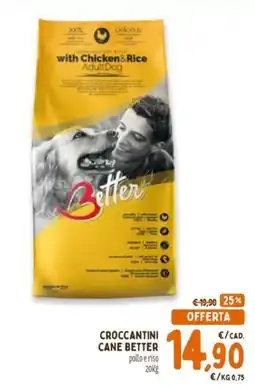 Conad Superstore CROCCANTINI CANE BETTER offerta