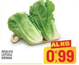 Ard Discount INSALATA LATTUGA ROMANA offerta