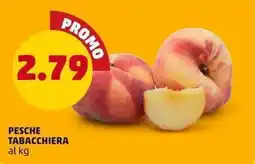 PENNY PESCHE TABACCHIERA offerta