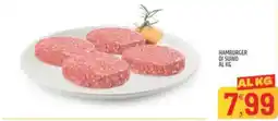 Ard Discount Hamburger di suino offerta