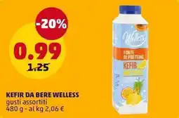 PENNY KEFIR DA BERE WELLESS offerta