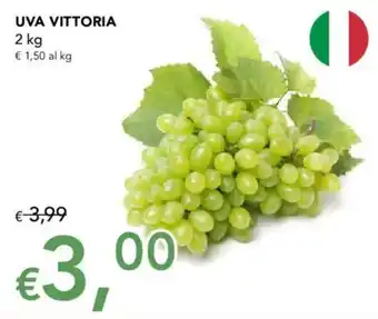 UVA VITTORIA