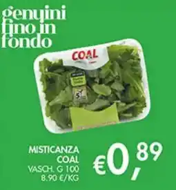 Coal Misticanza Coal offerta
