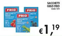 Coal Frio Sacchetti Gelo offerta