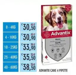 Moby Dick Advantix Cane offerta
