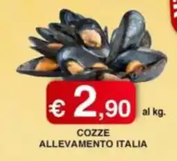 Orsini Market Cozze Allevamento Italia offerta