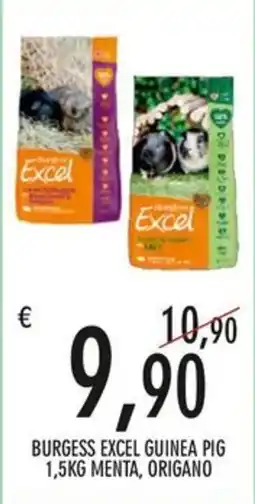 Moby Dick Burgess Excel Guinea Pig offerta