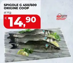 Coop SPIGOLE G ORIGINE COOP offerta