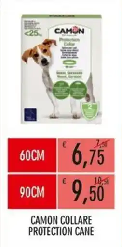 Moby Dick CAMON COLLARE PROTECTION CANE offerta