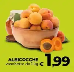 Coop ALBICOCCHE offerta