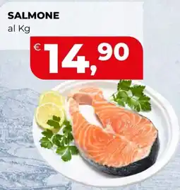Ipercoop Salmone offerta