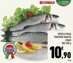 Conad Tuday SPIGOLA ITALIA PERCORSO QUALITÀ CONAD offerta