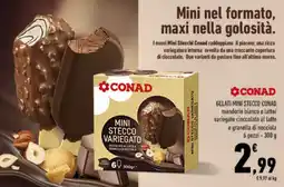Conad Tuday Mini Stecco Variegato CONAD offerta