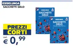 Esselunga Sacchetti gelo offerta