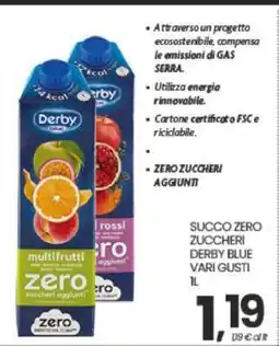 Eurospar SUCCO ZERO ZUCCHERI DERBY BLUE VARI GUSTI 1L offerta