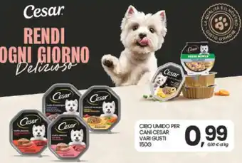 Eurospar Cesar offerta