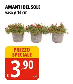 Tigros AMANTI DEL SOLE offerta