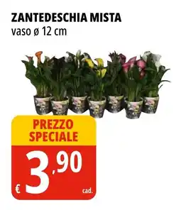 Tigros ZANTEDESCHIA MISTA offerta