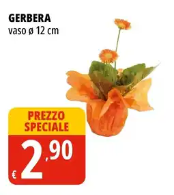 Tigros GERBERA offerta