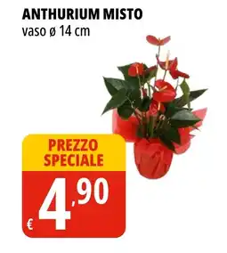 Tigros ANTHURIUM MISTO offerta